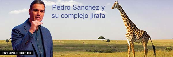 La jirafa Pedro Sánchez