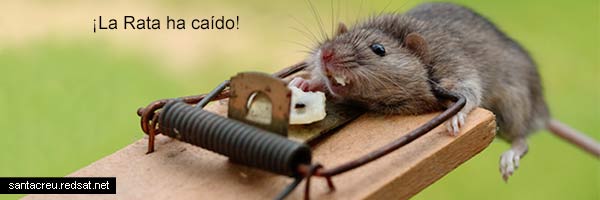 ¡La Rata ha caído!